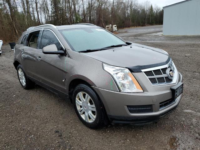 Photo 3 VIN: 3GYFNDEY9BS625116 - CADILLAC SRX 