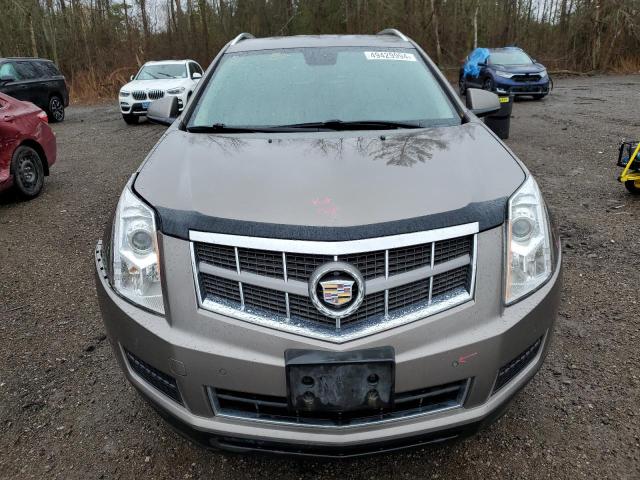 Photo 4 VIN: 3GYFNDEY9BS625116 - CADILLAC SRX 