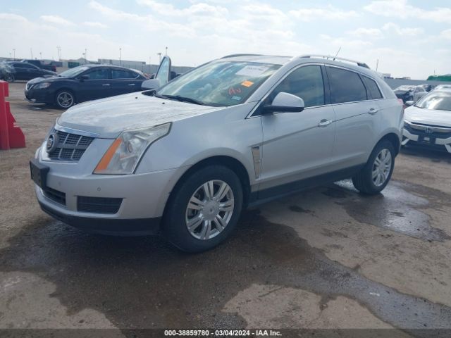 Photo 1 VIN: 3GYFNDEY9BS655314 - CADILLAC SRX 