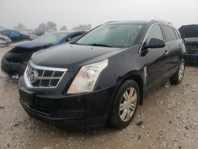 Photo 1 VIN: 3GYFNDEY9BS679550 - CADILLAC SRX LUXURY 