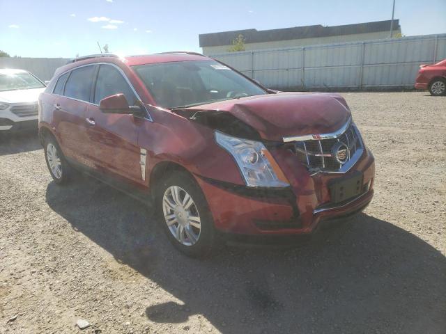 Photo 0 VIN: 3GYFNDEYXAS508062 - CADILLAC SRX LUXURY 