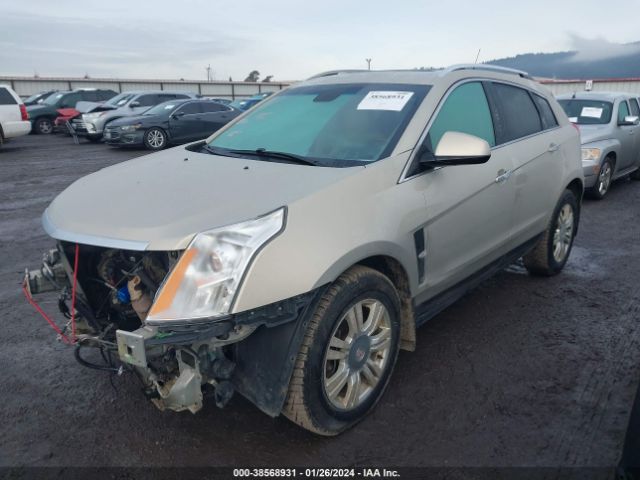 Photo 1 VIN: 3GYFNDEYXBS528880 - CADILLAC SRX 