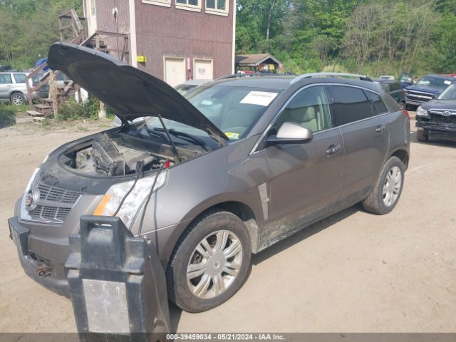 Photo 1 VIN: 3GYFNDEYXBS669495 - CADILLAC SRX 