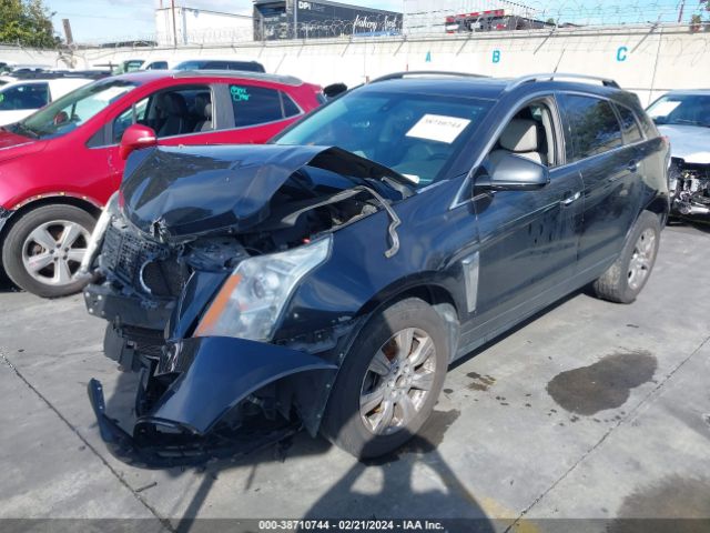 Photo 1 VIN: 3GYFNEE30ES625391 - CADILLAC SRX 