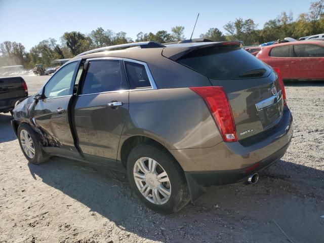 Photo 1 VIN: 3GYFNEE30GS576468 - CADILLAC SRX LUXURY 