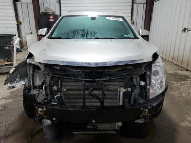 Photo 4 VIN: 3GYFNEE31GS532298 - CADILLAC SRX 