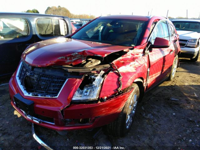 Photo 1 VIN: 3GYFNEE33GS575069 - CADILLAC SRX 