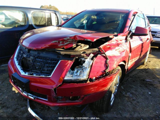 Photo 5 VIN: 3GYFNEE33GS575069 - CADILLAC SRX 