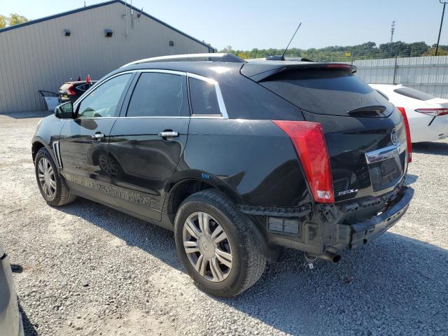 Photo 1 VIN: 3GYFNEE34GS507556 - CADILLAC SRX LUXURY 