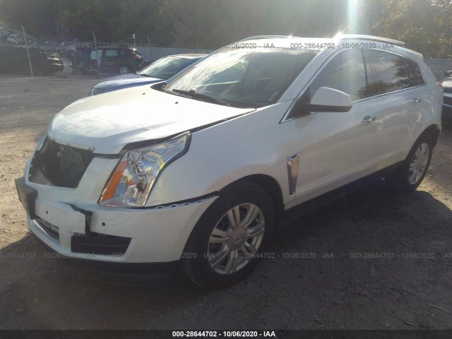 Photo 1 VIN: 3GYFNEE35ES662517 - CADILLAC SRX 