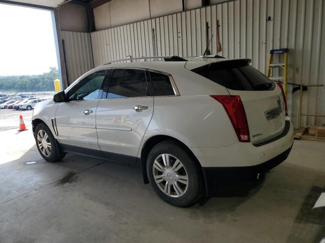 Photo 1 VIN: 3GYFNEE36ES543939 - CADILLAC SRX LUXURY 