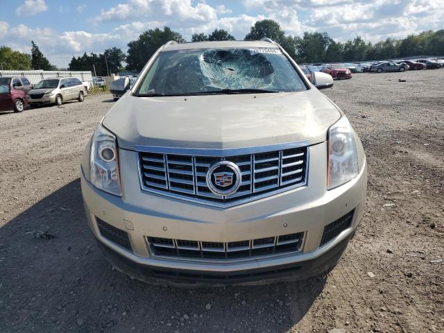 Photo 4 VIN: 3GYFNEE36GS525685 - CADILLAC SRX LUXURY 