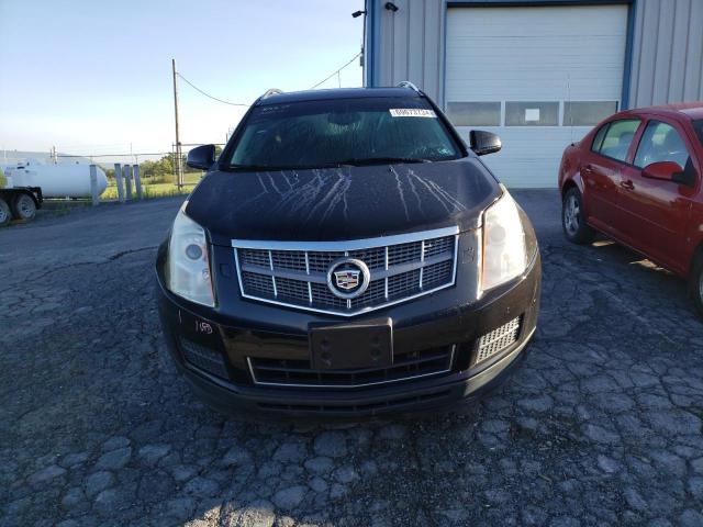 Photo 4 VIN: 3GYFNEE37GS532581 - CADILLAC SRX LUXURY 