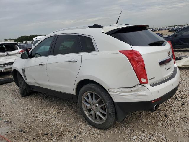 Photo 1 VIN: 3GYFNEE39DS555842 - CADILLAC SRX 