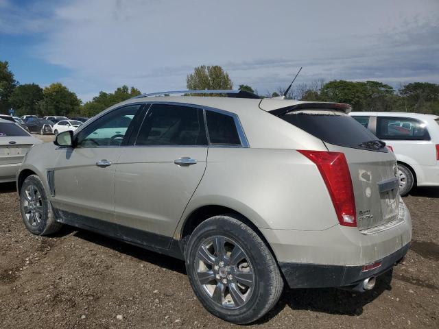 Photo 1 VIN: 3GYFNEE39ES686349 - CADILLAC SRX LUXURY 