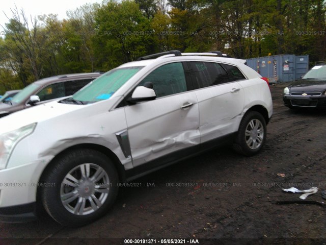 Photo 5 VIN: 3GYFNEE39FS551616 - CADILLAC SRX 