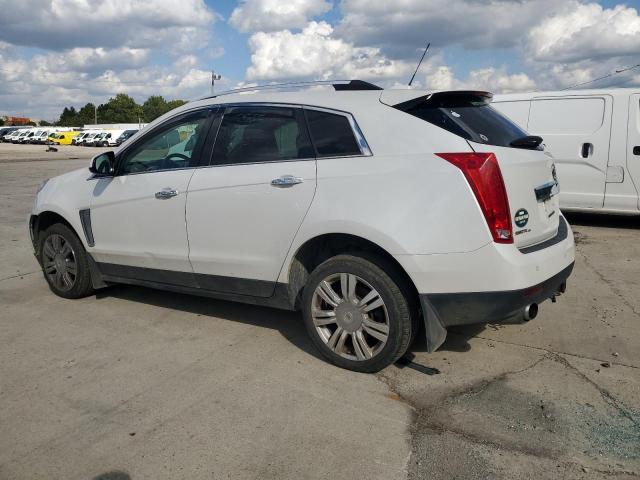 Photo 1 VIN: 3GYFNEE3XGS531991 - CADILLAC SRX LUXURY 