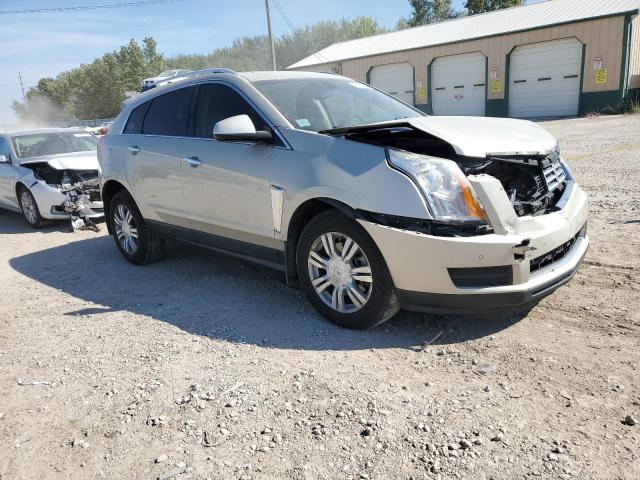 Photo 3 VIN: 3GYFNEE3XGS534065 - CADILLAC SRX LUXURY 