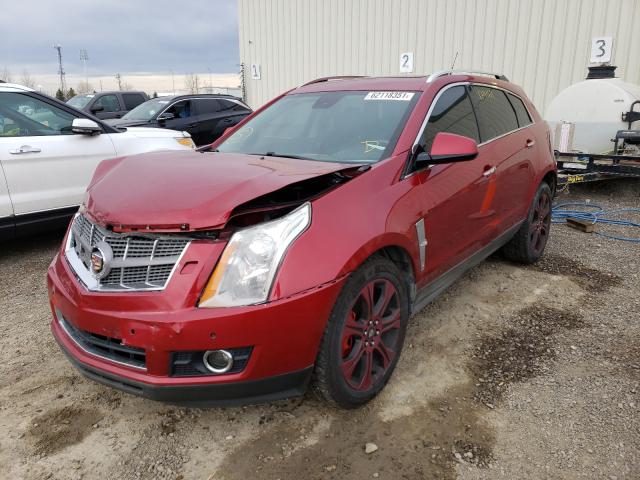 Photo 1 VIN: 3GYFNEE40AS639536 - CADILLAC SRX PERFOR 