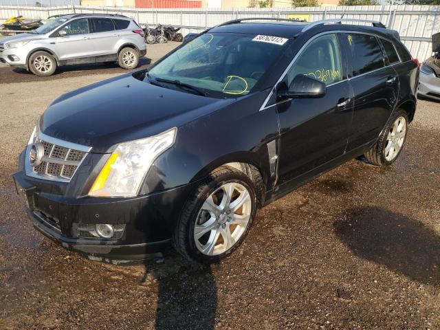 Photo 1 VIN: 3GYFNEE6XBS559907 - CADILLAC SRX PERFOR 