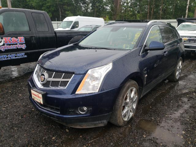 Photo 1 VIN: 3GYFNEEY6BS516277 - CADILLAC SRX PERFOR 