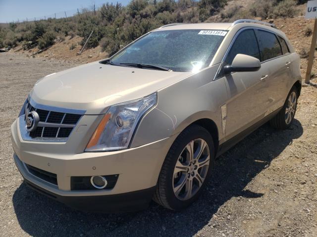 Photo 1 VIN: 3GYFNFE31CS537193 - CADILLAC SRX 