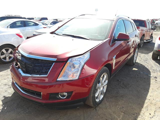 Photo 1 VIN: 3GYFNFE31ES584291 - CADILLAC SRX PERFOR 