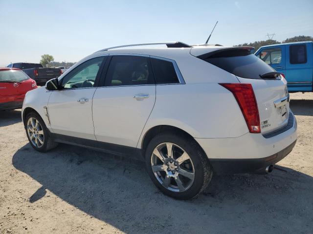 Photo 1 VIN: 3GYFNFE32CS619434 - CADILLAC SRX PREMIU 