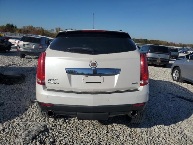 Photo 5 VIN: 3GYFNFE36FS603841 - CADILLAC SRX PERFOR 