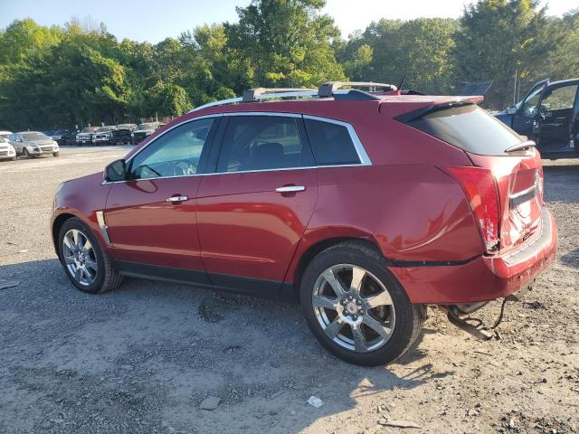 Photo 1 VIN: 3GYFNFE64BS500034 - CADILLAC SRX PREMIU 