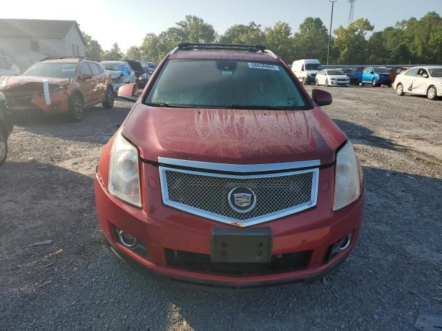 Photo 4 VIN: 3GYFNFE64BS500034 - CADILLAC SRX PREMIU 