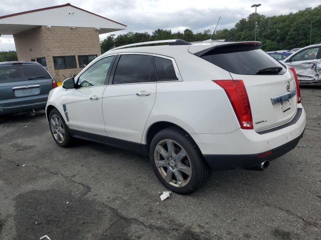 Photo 1 VIN: 3GYFNFEY1AS561695 - CADILLAC SRX PREMIU 