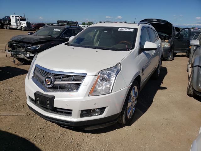 Photo 1 VIN: 3GYFNFEY3AS571421 - CADILLAC SRX PREMIU 