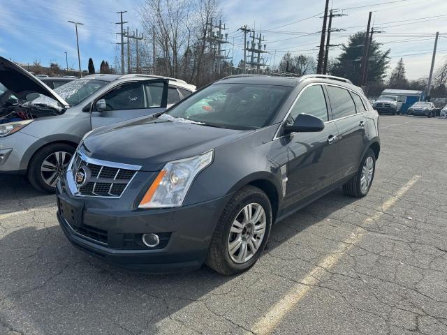 Photo 1 VIN: 3GYFNFEY5BS505843 - CADILLAC SRX 