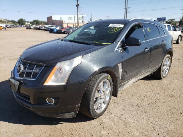 Photo 1 VIN: 3GYFNFEY5BS609538 - CADILLAC SRX PREMIU 