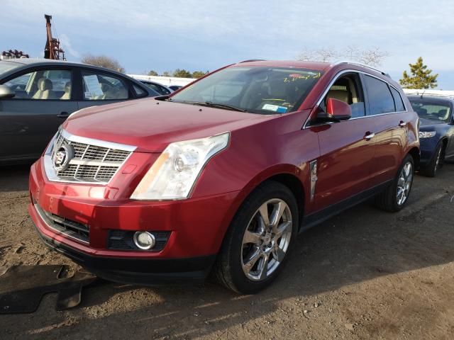 Photo 1 VIN: 3GYFNFEYXAS600316 - CADILLAC SRX PREMIU 