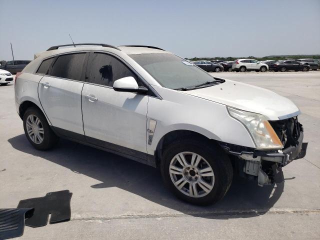 Photo 3 VIN: 3GYFNGE31CS643987 - CADILLAC SRX 