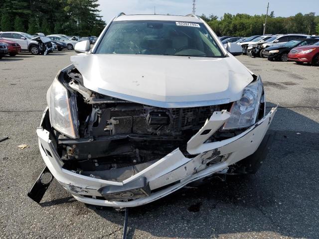 Photo 4 VIN: 3GYFNGE32ES561804 - CADILLAC SRX PREMIU 