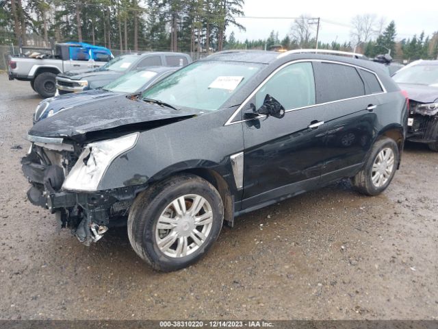 Photo 1 VIN: 3GYFNGE35DS650703 - CADILLAC SRX 