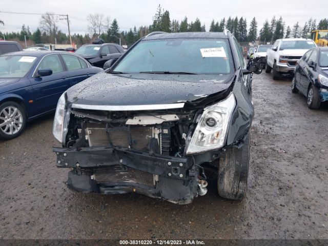 Photo 5 VIN: 3GYFNGE35DS650703 - CADILLAC SRX 