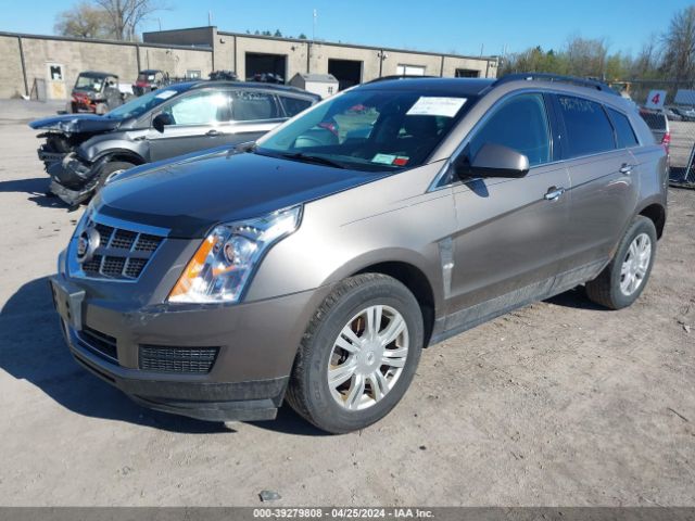 Photo 1 VIN: 3GYFNGE36CS629292 - CADILLAC SRX 