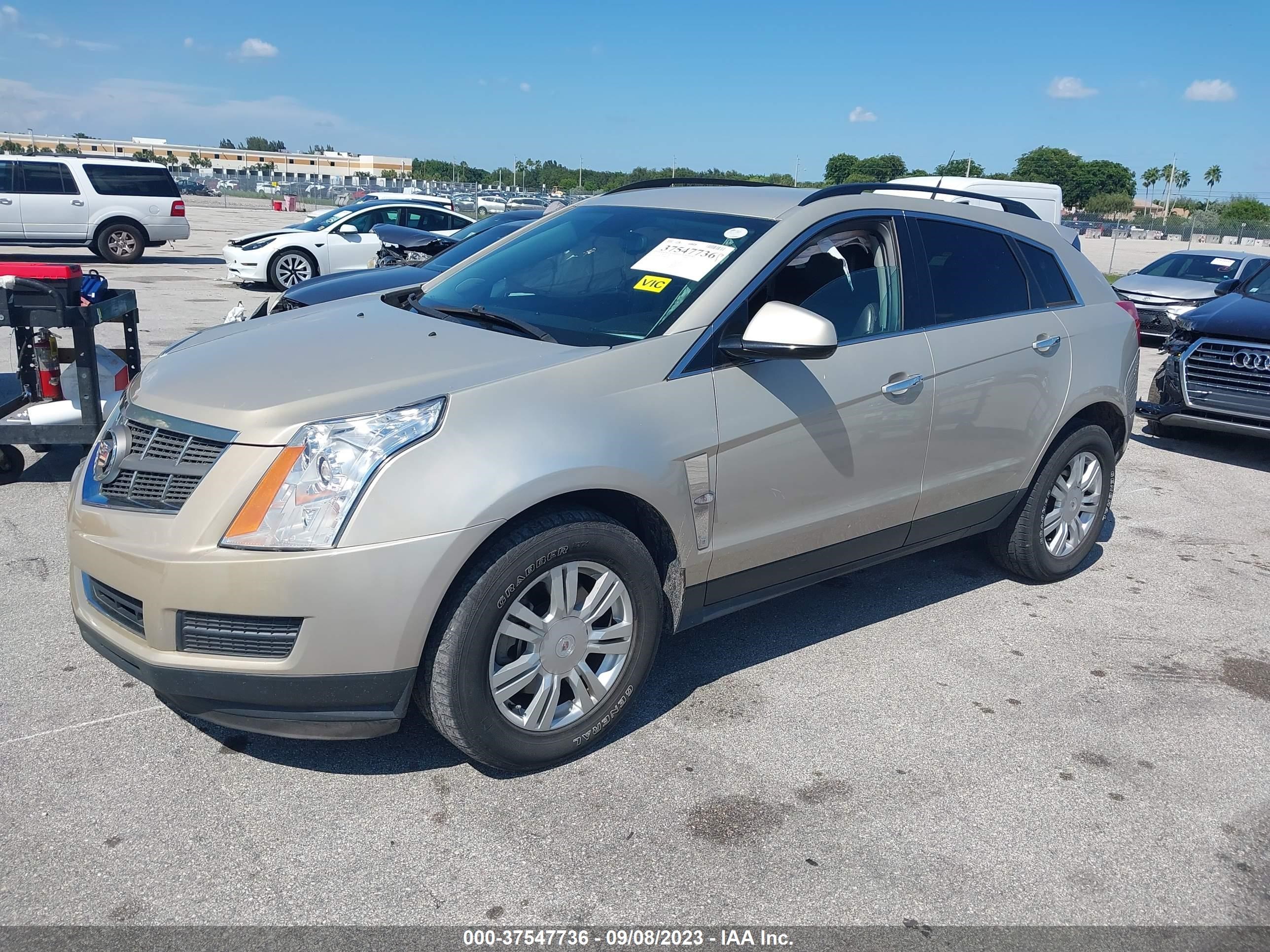 Photo 1 VIN: 3GYFNGE39CS606489 - CADILLAC SRX 