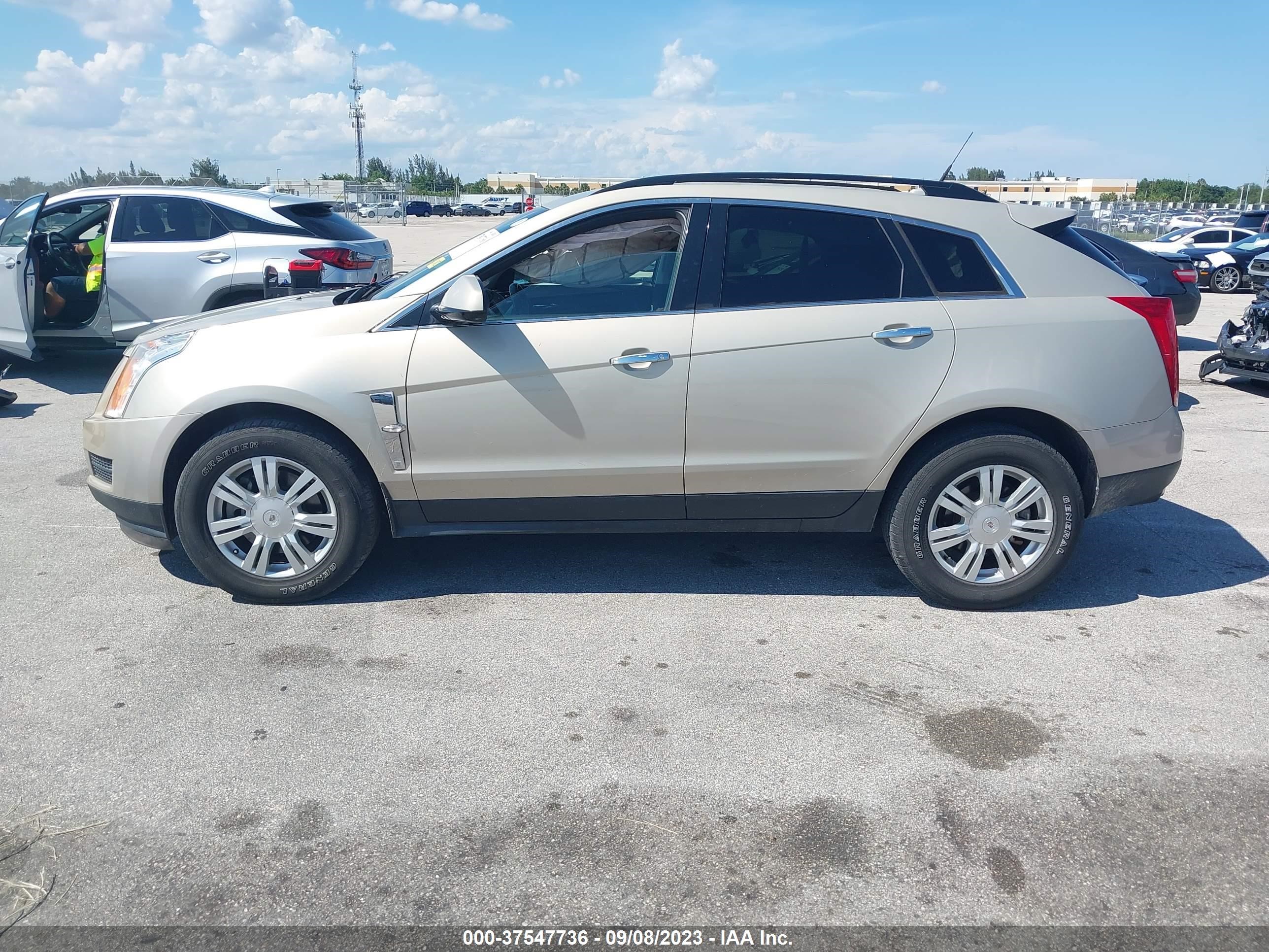 Photo 13 VIN: 3GYFNGE39CS606489 - CADILLAC SRX 