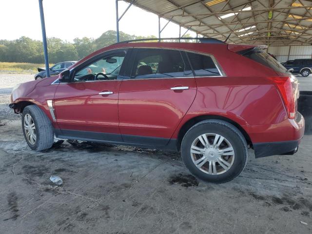 Photo 1 VIN: 3GYFNGEY1BS582800 - CADILLAC SRX 