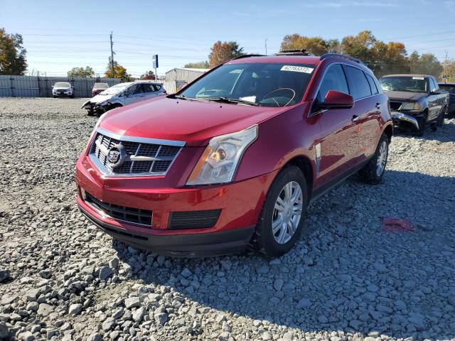 Photo 1 VIN: 3GYFNGEY3AS509118 - CADILLAC SRX 