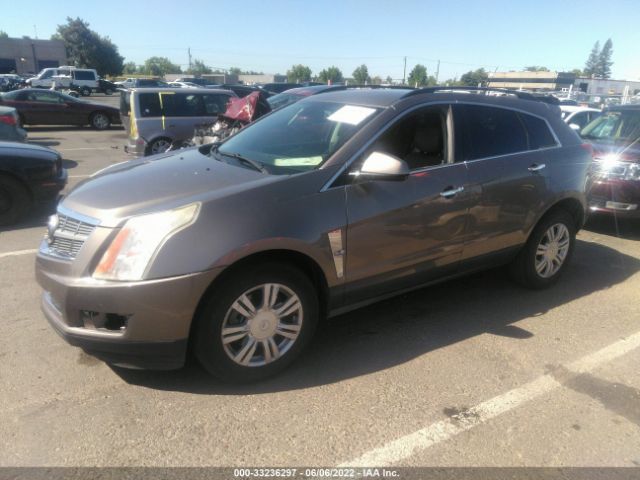 Photo 1 VIN: 3GYFNGEY4BS517083 - CADILLAC SRX 