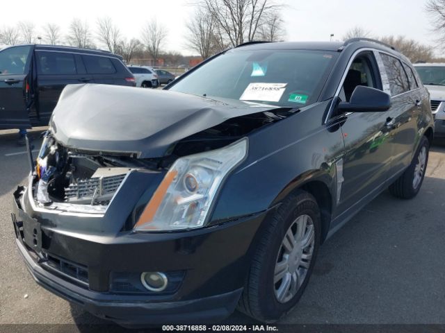 Photo 1 VIN: 3GYFNGEY5BS608556 - CADILLAC SRX 