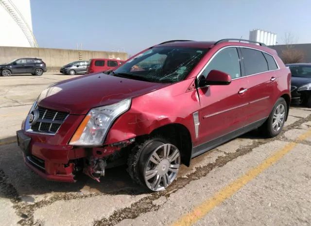 Photo 1 VIN: 3GYFNGEY6BS609845 - CADILLAC SRX 