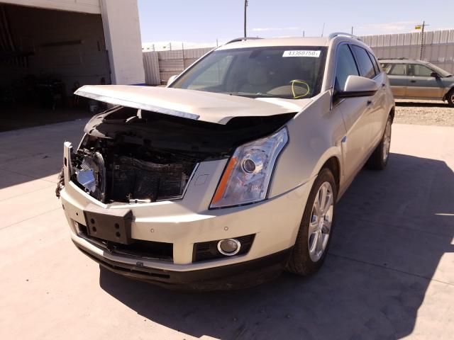 Photo 1 VIN: 3GYFNHE32DS626798 - CADILLAC SRX PERFOR 