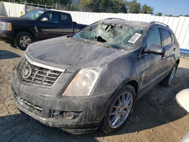 Photo 0 VIN: 3GYFNHE34DS576602 - CADILLAC SRX PERFOR 